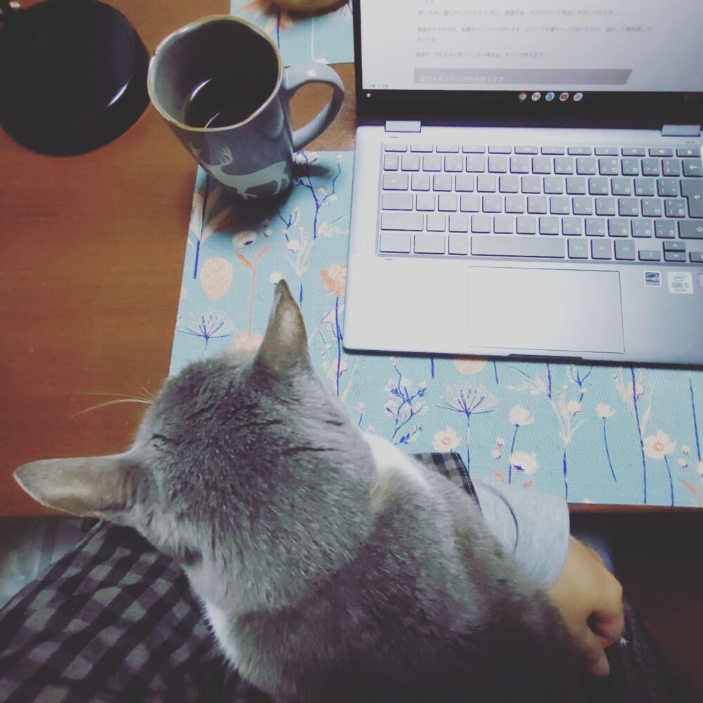 猫のアフィリエイトブログの作り方と高収益化する手順を紹介