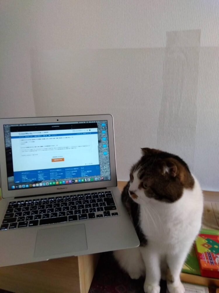 猫のアフィリエイトブログの作り方と高収益化する手順を紹介